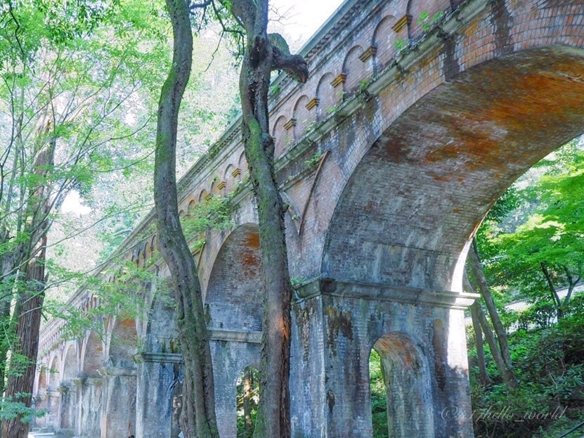 南禅寺の境内