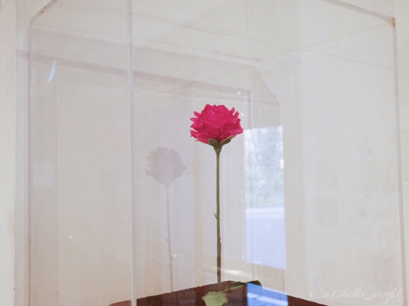 Displays telling the story of Saint-Exupery’s life