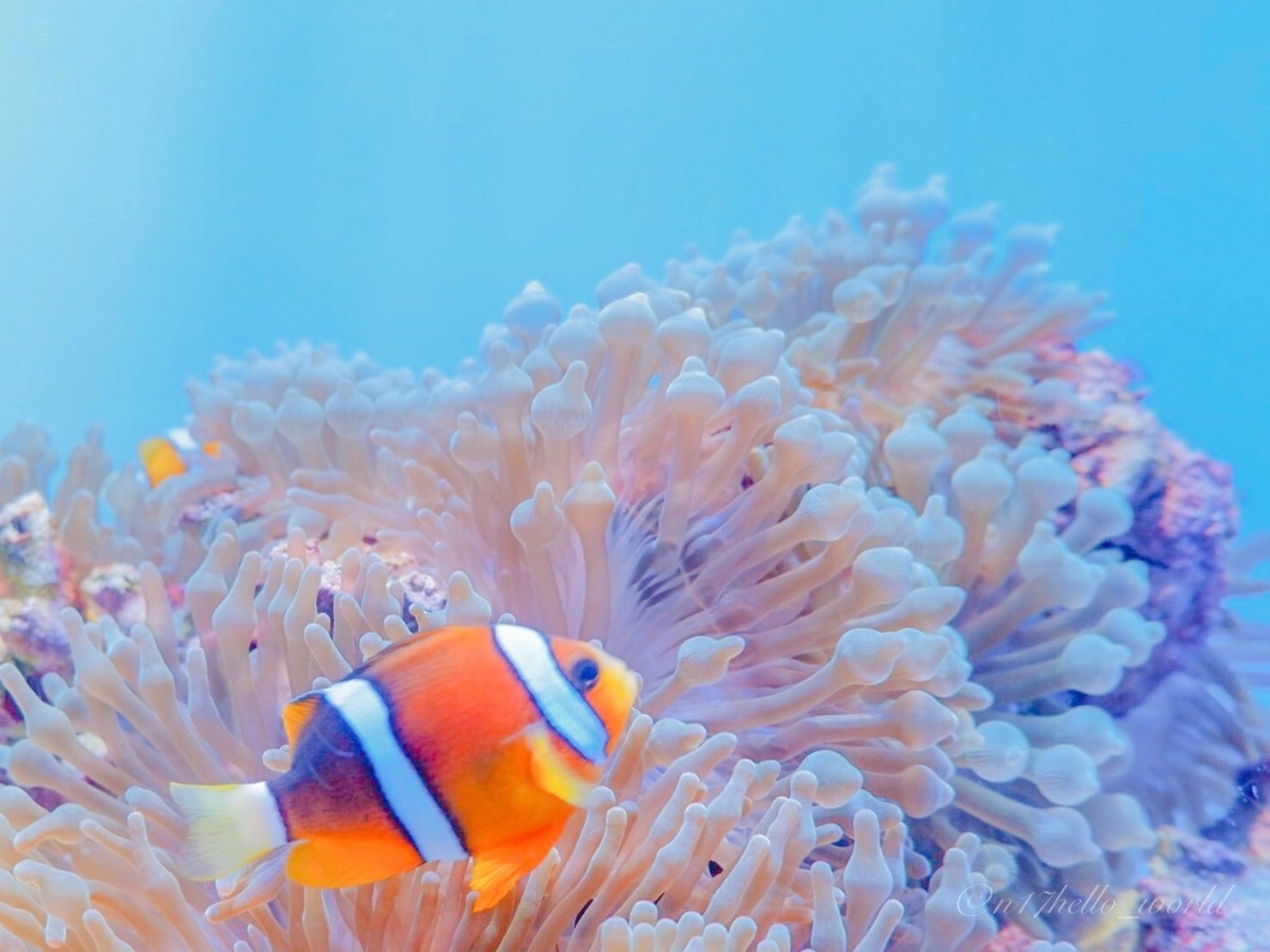 美ら海水族館の入口