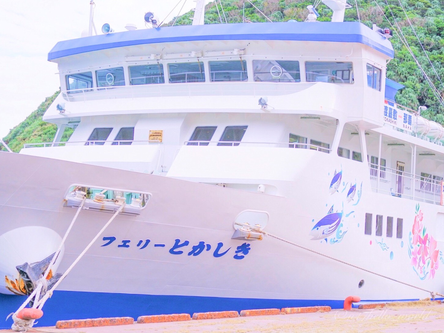 泊港から渡嘉敷島へ向かうフェリー